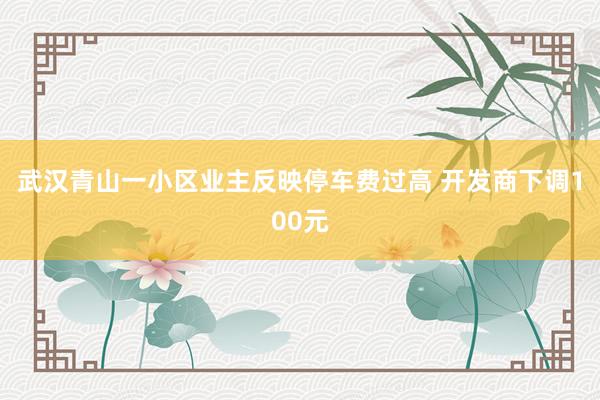 武汉青山一小区业主反映停车费过高 开发商下调100元