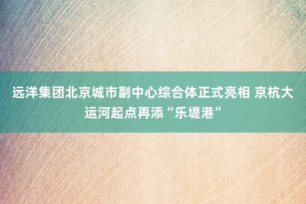 远洋集团北京城市副中心综合体正式亮相 京杭大运河起点再添“乐堤港”