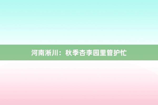 河南淅川：秋季杏李园里管护忙