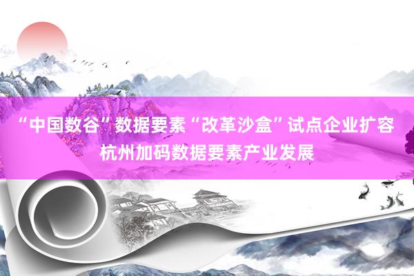 “中国数谷”数据要素“改革沙盒”试点企业扩容 杭州加码数据要素产业发展