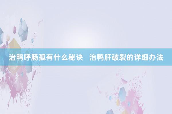 治鸭呼肠孤有什么秘诀   治鸭肝破裂的详细办法