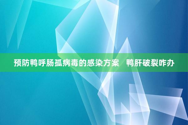 预防鸭呼肠孤病毒的感染方案   鸭肝破裂咋办