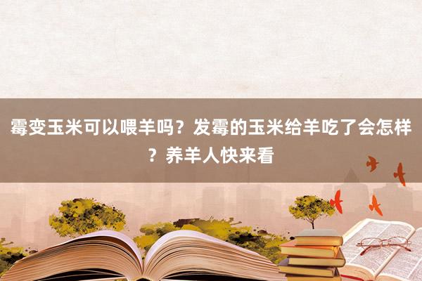 霉变玉米可以喂羊吗？发霉的玉米给羊吃了会怎样？养羊人快来看