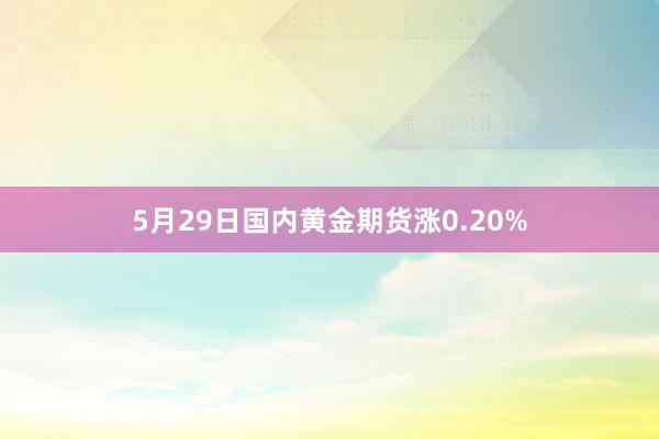 5月29日国内黄金期货涨0.20%