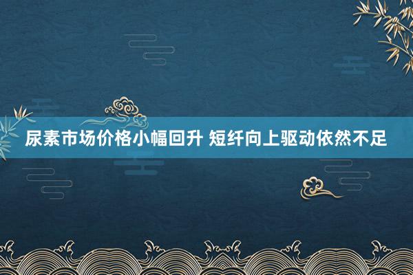 尿素市场价格小幅回升 短纤向上驱动依然不足