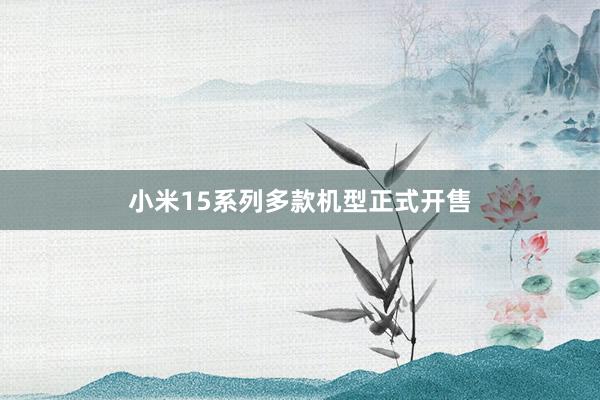 小米15系列多款机型正式开售