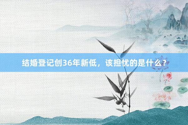 结婚登记创36年新低，该担忧的是什么？