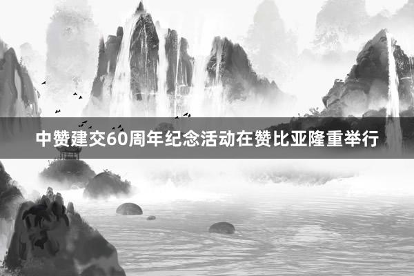 中赞建交60周年纪念活动在赞比亚隆重举行