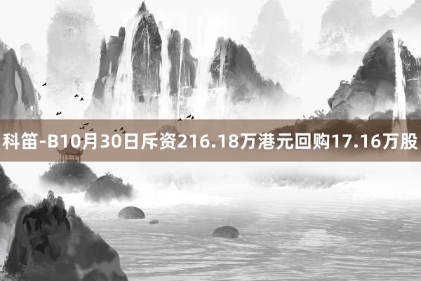 科笛-B10月30日斥资216.18万港元回购17.16万股