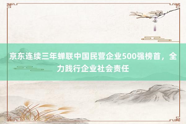 京东连续三年蝉联中国民营企业500强榜首，全力践行企业社会责任