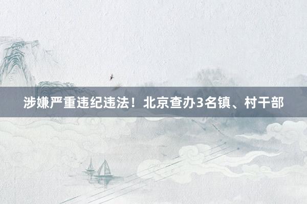 涉嫌严重违纪违法！北京查办3名镇、村干部