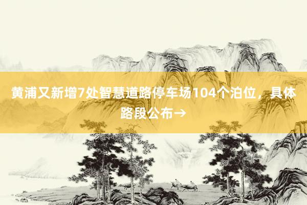 黄浦又新增7处智慧道路停车场104个泊位，具体路段公布→