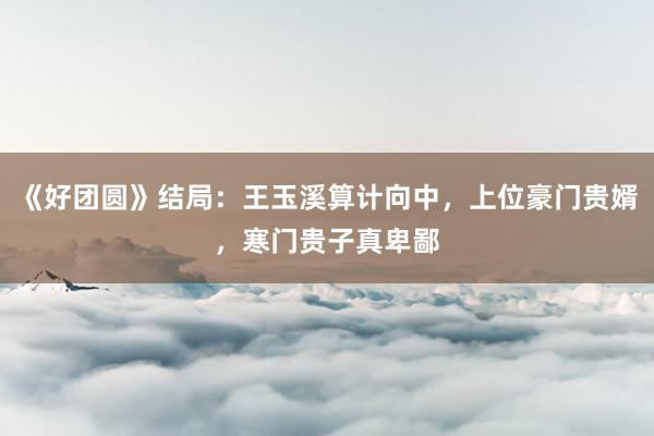 《好团圆》结局：王玉溪算计向中，上位豪门贵婿，寒门贵子真卑鄙