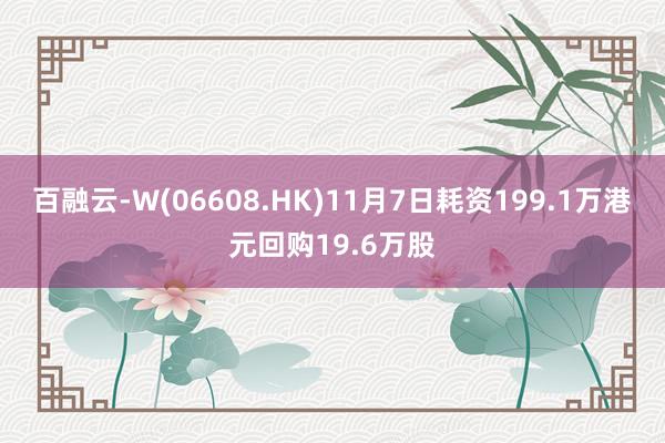 百融云-W(06608.HK)11月7日耗资199.1万港元回购19.6万股