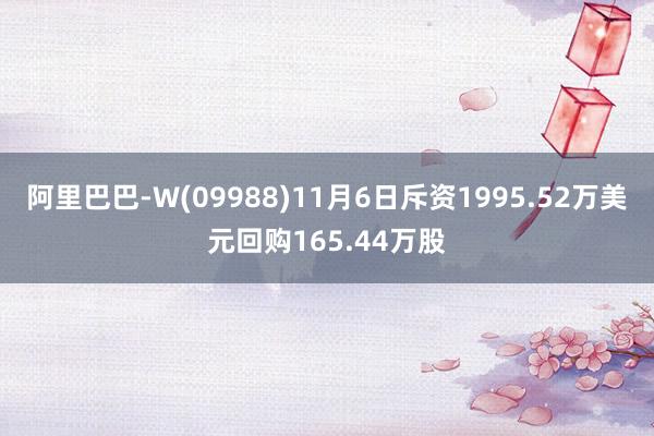 阿里巴巴-W(09988)11月6日斥资1995.52万美元回购165.44万股