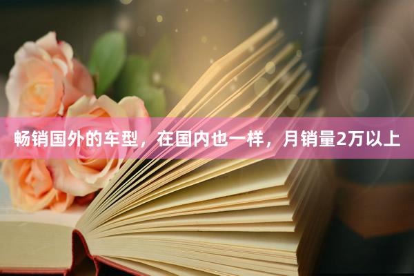 畅销国外的车型，在国内也一样，月销量2万以上