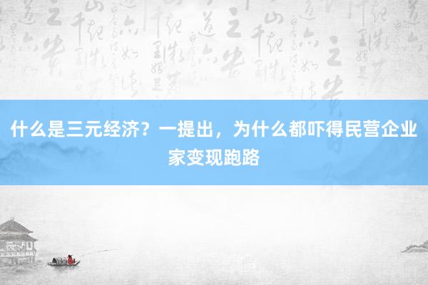 什么是三元经济？一提出，为什么都吓得民营企业家变现跑路