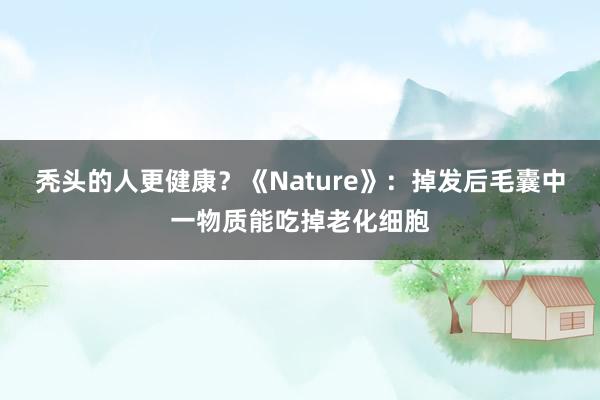 秃头的人更健康？《Nature》：掉发后毛囊中一物质能吃掉老化细胞