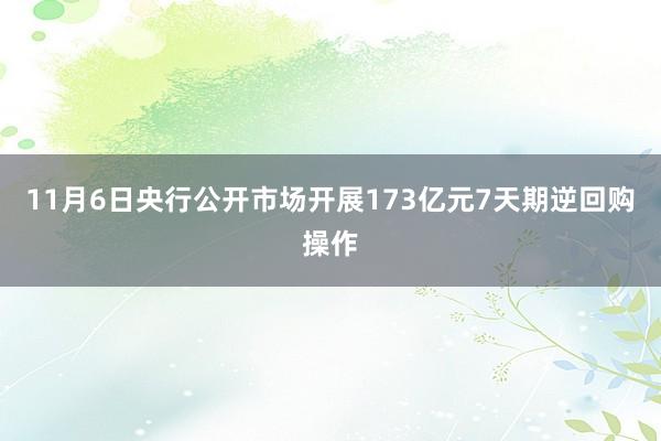 11月6日央行公开市场开展173亿元7天期逆回购操作