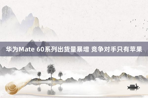 华为Mate 60系列出货量暴增 竞争对手只有苹果