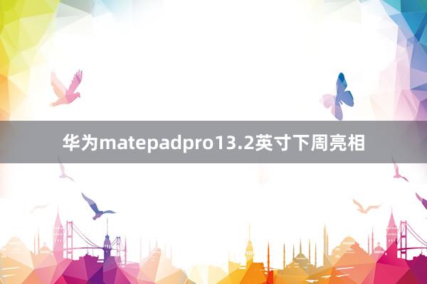 华为matepadpro13.2英寸下周亮相