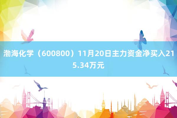 渤海化学（600800）11月20日主力资金净买入215.34万元