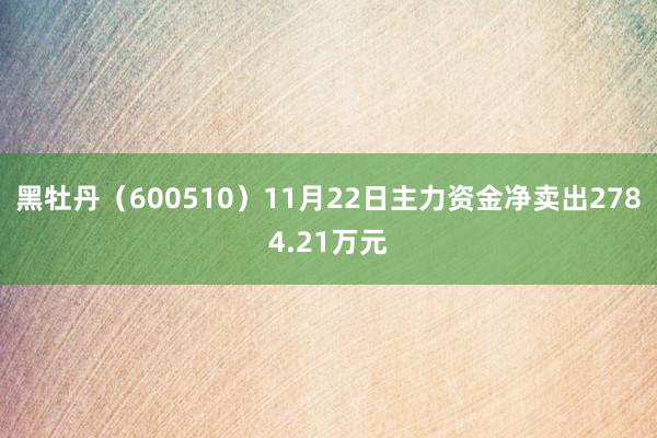 黑牡丹（600510）11月22日主力资金净卖出2784.21万元