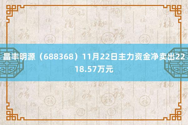 晶丰明源（688368）11月22日主力资金净卖出2218.57万元