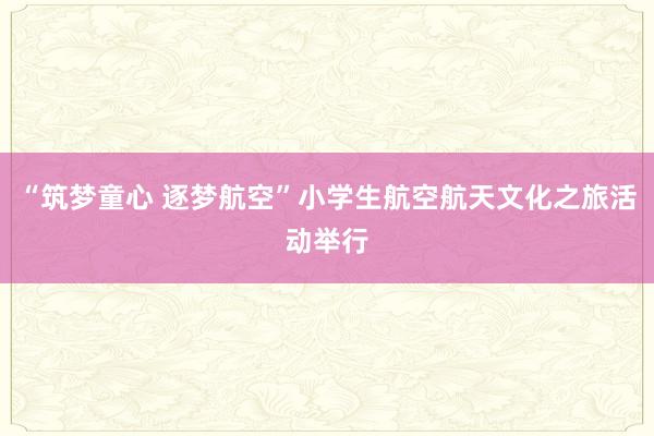 “筑梦童心 逐梦航空”小学生航空航天文化之旅活动举行