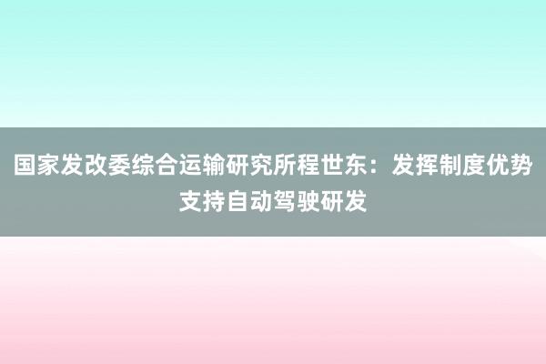 国家发改委综合运输研究所程世东：发挥制度优势支持自动驾驶研发