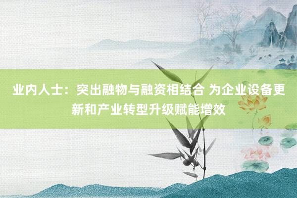 业内人士：突出融物与融资相结合 为企业设备更新和产业转型升级赋能增效