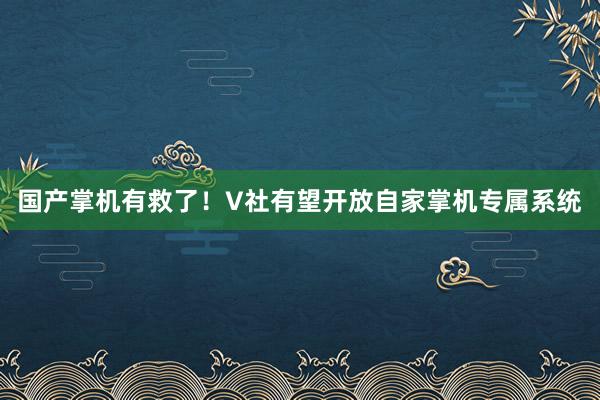 国产掌机有救了！V社有望开放自家掌机专属系统