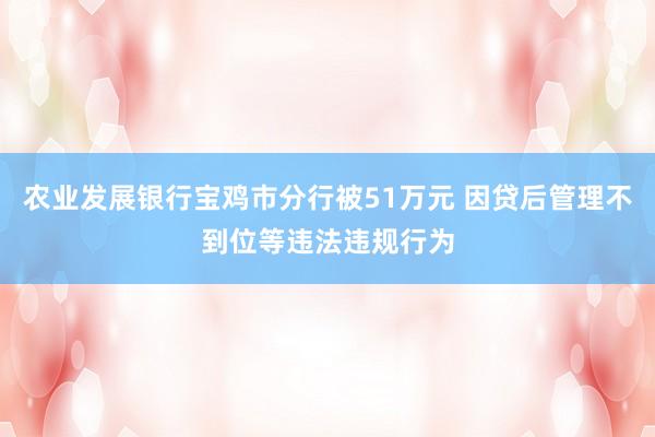 农业发展银行宝鸡市分行被51万元 因贷后管理不到位等违法违规行为