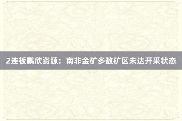 2连板鹏欣资源：南非金矿多数矿区未达开采状态